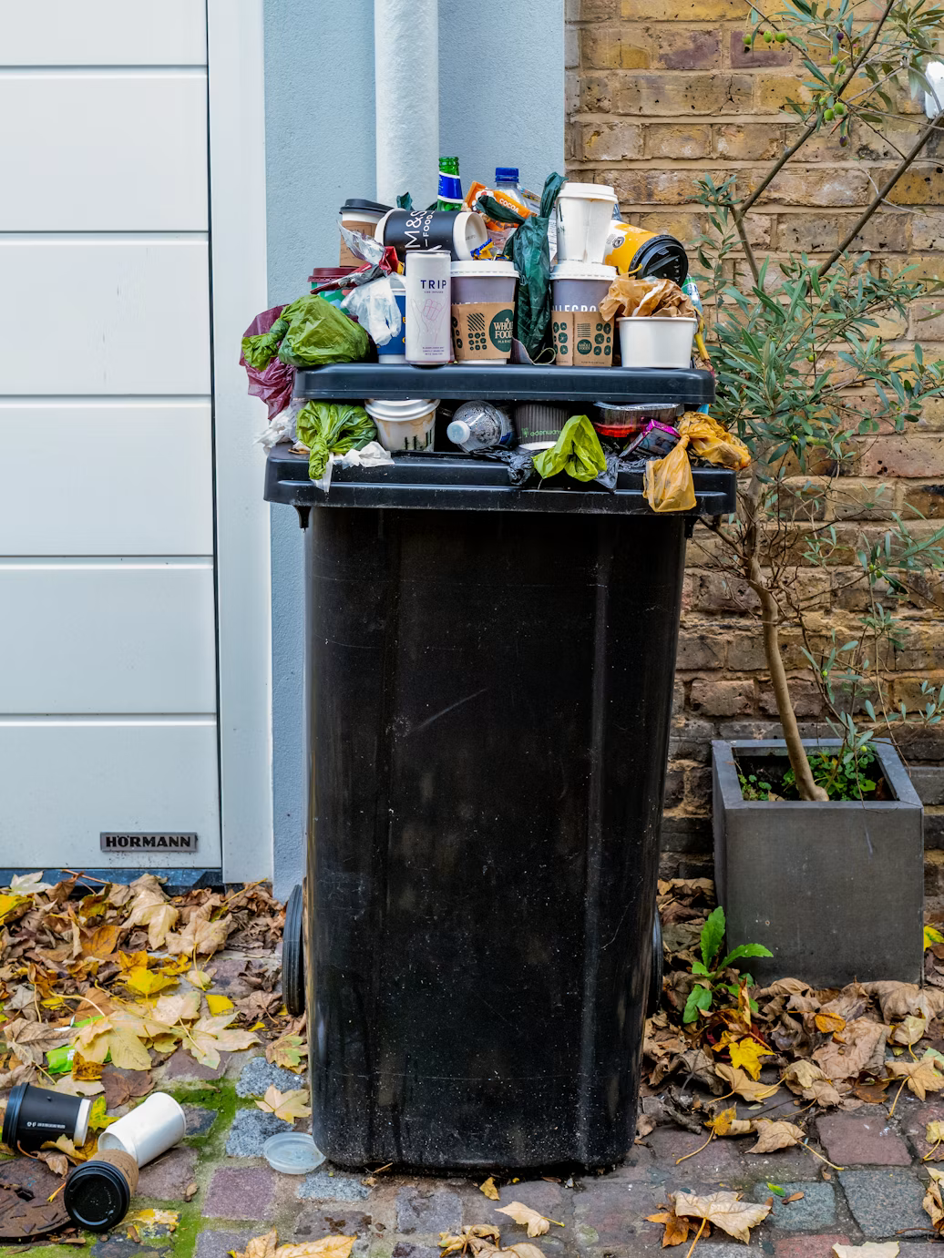 picture of food waste